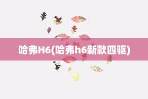 哈弗H6(哈弗h6新款四驱)