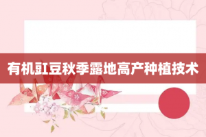 有机豇豆秋季露地高产种植技术