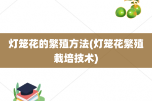 灯笼花的繁殖方法(灯笼花繁殖栽培技术)