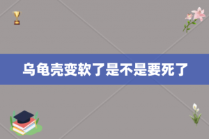 乌龟壳变软了是不是要死了