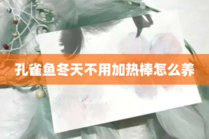 孔雀鱼冬天不用加热棒怎么养