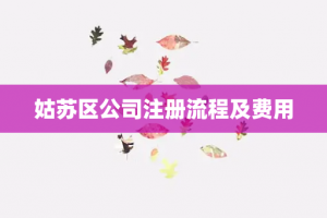 姑苏区公司注册流程及费用
