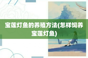 宝莲灯鱼的养殖方法(怎样饲养宝莲灯鱼)
