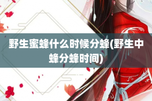 野生蜜蜂什么时候分蜂(野生中蜂分蜂时间)