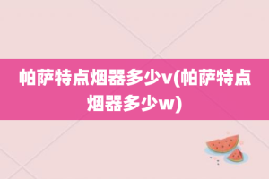 帕萨特点烟器多少v(帕萨特点烟器多少w)