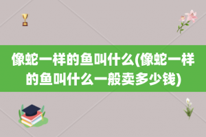 像蛇一样的鱼叫什么(像蛇一样的鱼叫什么一般卖多少钱)