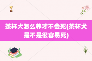 茶杯犬怎么养才不会死(茶杯犬是不是很容易死)