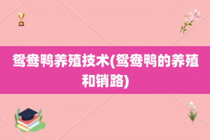 鸳鸯鸭养殖技术(鸳鸯鸭的养殖和销路)