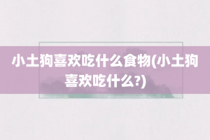 小土狗喜欢吃什么食物(小土狗喜欢吃什么?)