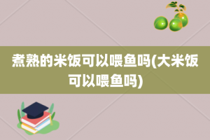 煮熟的米饭可以喂鱼吗(大米饭可以喂鱼吗)