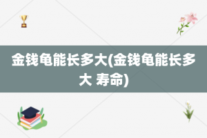 金钱龟能长多大(金钱龟能长多大 寿命)