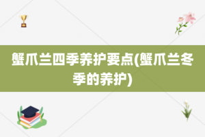蟹爪兰四季养护要点(蟹爪兰冬季的养护)