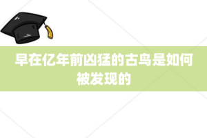 早在亿年前凶猛的古鸟是如何被发现的