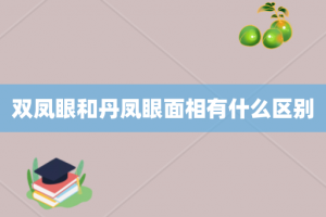 双凤眼和丹凤眼面相有什么区别