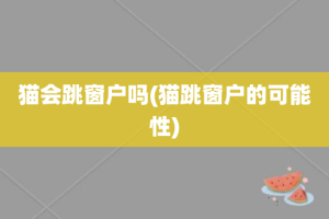 猫会跳窗户吗(猫跳窗户的可能性)