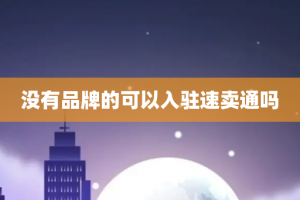 没有品牌的可以入驻速卖通吗