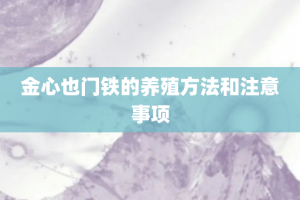 金心也门铁的养殖方法和注意事项