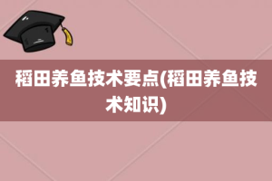 稻田养鱼技术要点(稻田养鱼技术知识)