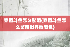 泰国斗鱼怎么繁殖(泰国斗鱼怎么繁殖出其他颜色)