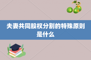 夫妻共同股权分割的特殊原则是什么