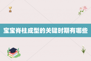 宝宝脊柱成型的关键时期有哪些