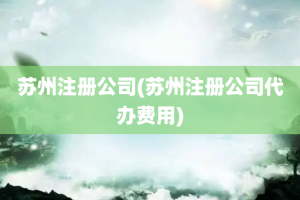 苏州注册公司(苏州注册公司代办费用)