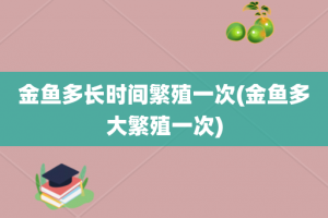 金鱼多长时间繁殖一次(金鱼多大繁殖一次)