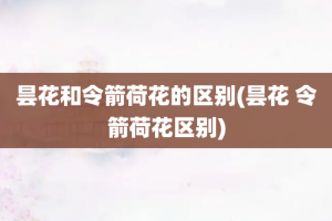 昙花和令箭荷花的区别(昙花 令箭荷花区别)