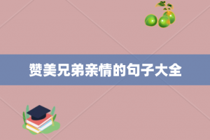 赞美兄弟亲情的句子大全