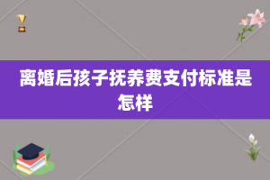 离婚后孩子抚养费支付标准是怎样