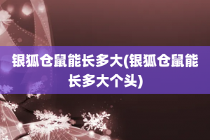 银狐仓鼠能长多大(银狐仓鼠能长多大个头)