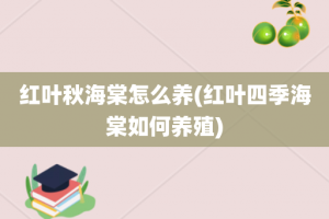 红叶秋海棠怎么养(红叶四季海棠如何养殖)