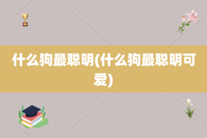 什么狗最聪明(什么狗最聪明可爱)