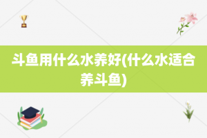 斗鱼用什么水养好(什么水适合养斗鱼)