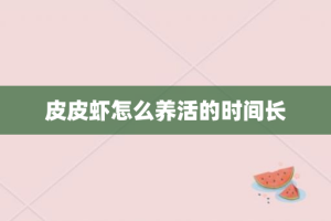 皮皮虾怎么养活的时间长