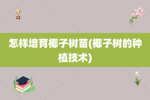 怎样培育椰子树苗(椰子树的种植技术)