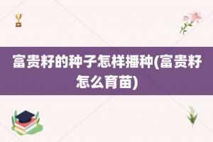 富贵籽的种子怎样播种(富贵籽怎么育苗)
