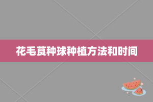 花毛茛种球种植方法和时间