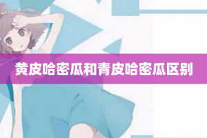 黄皮哈密瓜和青皮哈密瓜区别