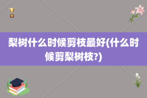 梨树什么时候剪枝最好(什么时候剪梨树枝?)
