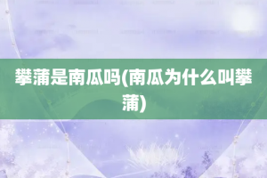 攀蒲是南瓜吗(南瓜为什么叫攀蒲)