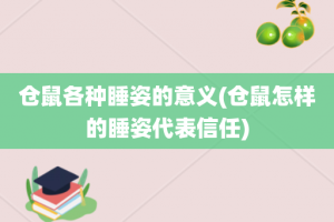 仓鼠各种睡姿的意义(仓鼠怎样的睡姿代表信任)