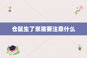 仓鼠生了崽需要注意什么