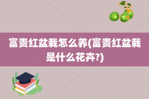 富贵红盆栽怎么养(富贵红盆栽是什么花卉?)