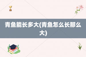 青鱼能长多大(青鱼怎么长那么大)