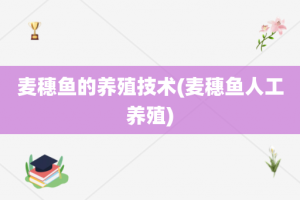 麦穗鱼的养殖技术(麦穗鱼人工养殖)