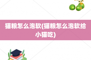 猫粮怎么泡软(猫粮怎么泡软给小猫吃)