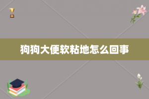 狗狗大便软粘地怎么回事