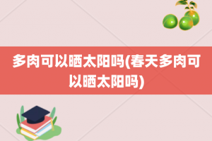 多肉可以晒太阳吗(春天多肉可以晒太阳吗)