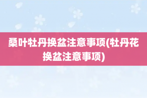 桑叶牡丹换盆注意事项(牡丹花换盆注意事项)